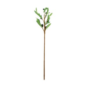 olijftak met blad, zwart