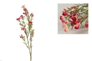 Bloem van wax Tamara S fuchsia-L52B9H2CM 750495