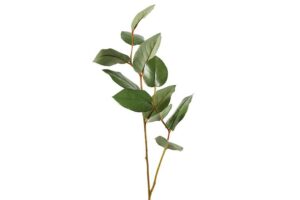 Kunstblad Myrtaceae Jocosa, (Appelblad)