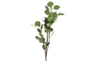 Eucalyptus groen H90CM