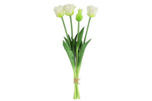 Boeket Tulp Tulipa (parkiet) wit