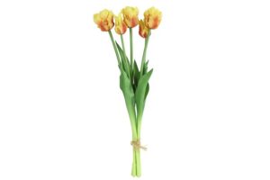 Tulipa (parkiet) boeket geel/fuchsia-L16B16H47CM