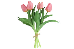 Tulpen bundel met 5 tulpen roze/peach