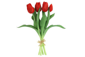 Boeket Tulp Tulipa rood 28cm