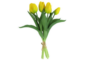Tulp boeket geel