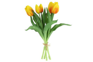 Boeket Tulp Tulipa geel/oranje 28cm