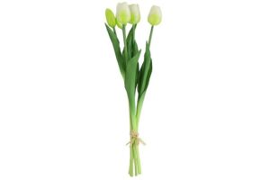 Boeket Tulp Tulipa wit 41cm