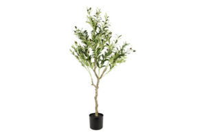 Kunstplant Olijf Olea L groen