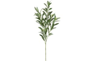 Olijftak Olea groen L90