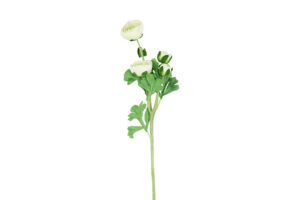 Kunstbloem Ranonkel