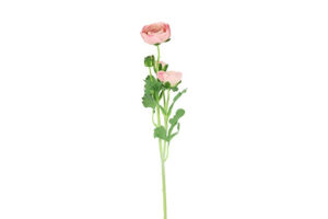 Kunstbloem Roze Ranonkel