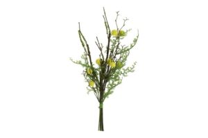 Mimosa geel