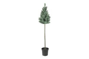 Kerstboom LED Agart S sneeuwgroen