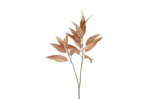 Blad Eucalyptus bruin 80cm