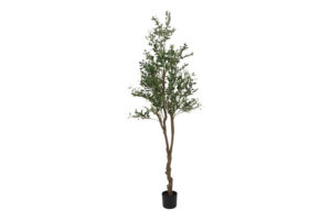 Kunstplant Olijf Olea europaea groen 200cm