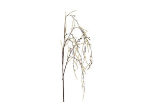 Tak treur/hang Corylus XL crème 132cm