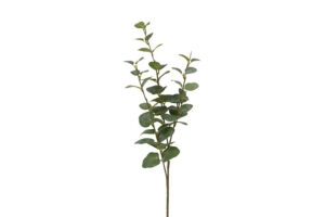 Kunstblad Eucalyptus Cinerea S groen