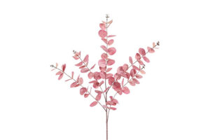 Blad Eucalyptus Cinerea roze 59x28x106CM