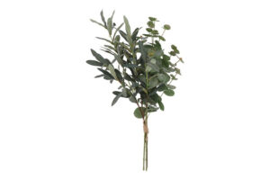 Boeket Olijf  & eucalyptus