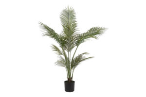 Kunstplant Areca M groen 153cm