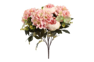 Pioenroos, Boeket Paeonia Hydrangea