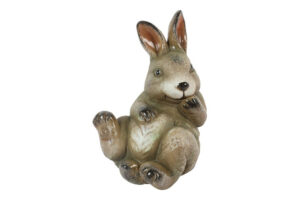 Haas liggend Arwin L bruin