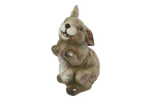 Haas Arwin bruin
