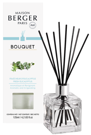 Maison Berger FRAÎCHEUR D'EUCALYPTUS / FRESH EUCALYPTUS GEURSTOKJES